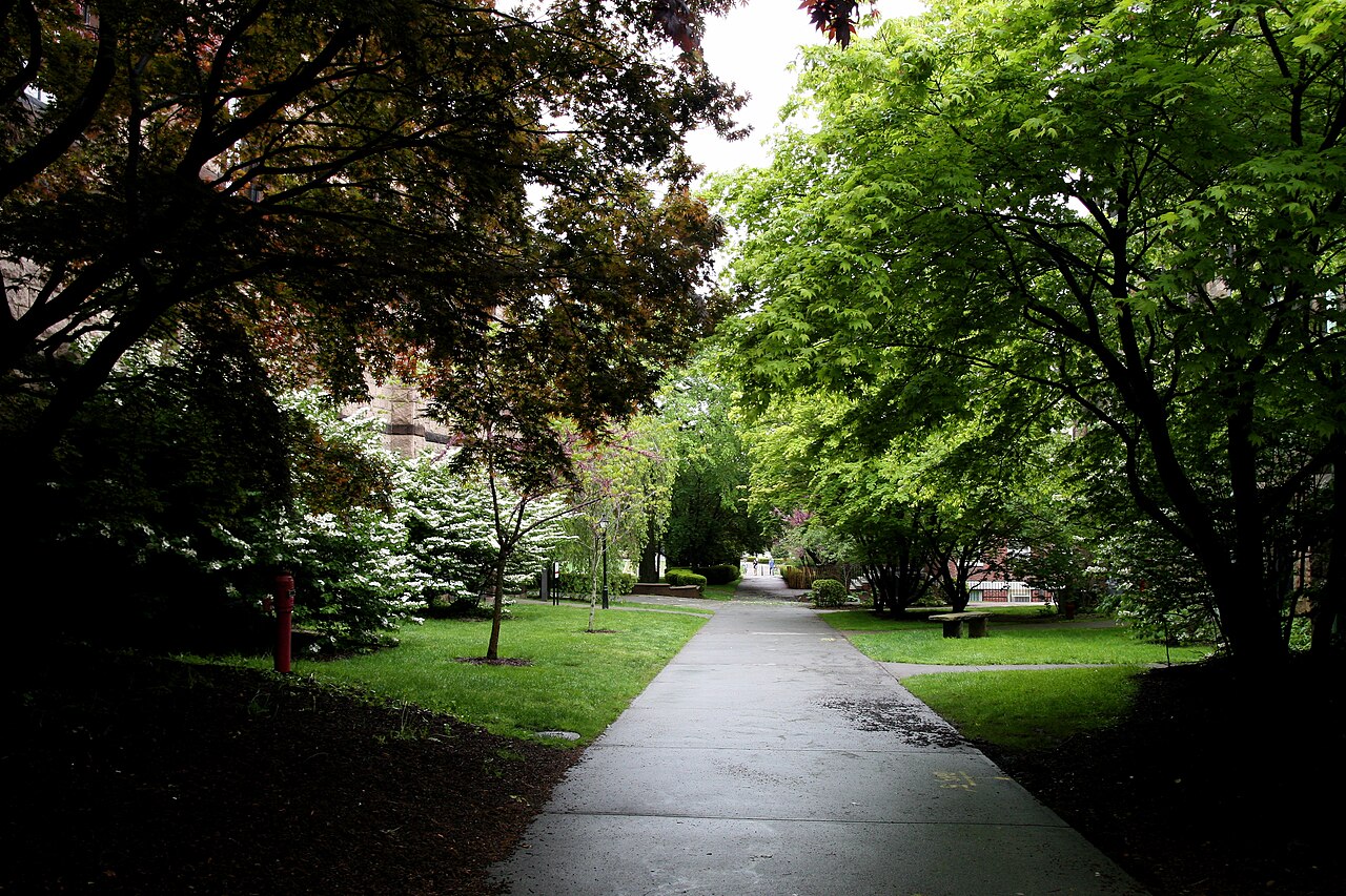 布朗大学校园实景:学习与生活空间