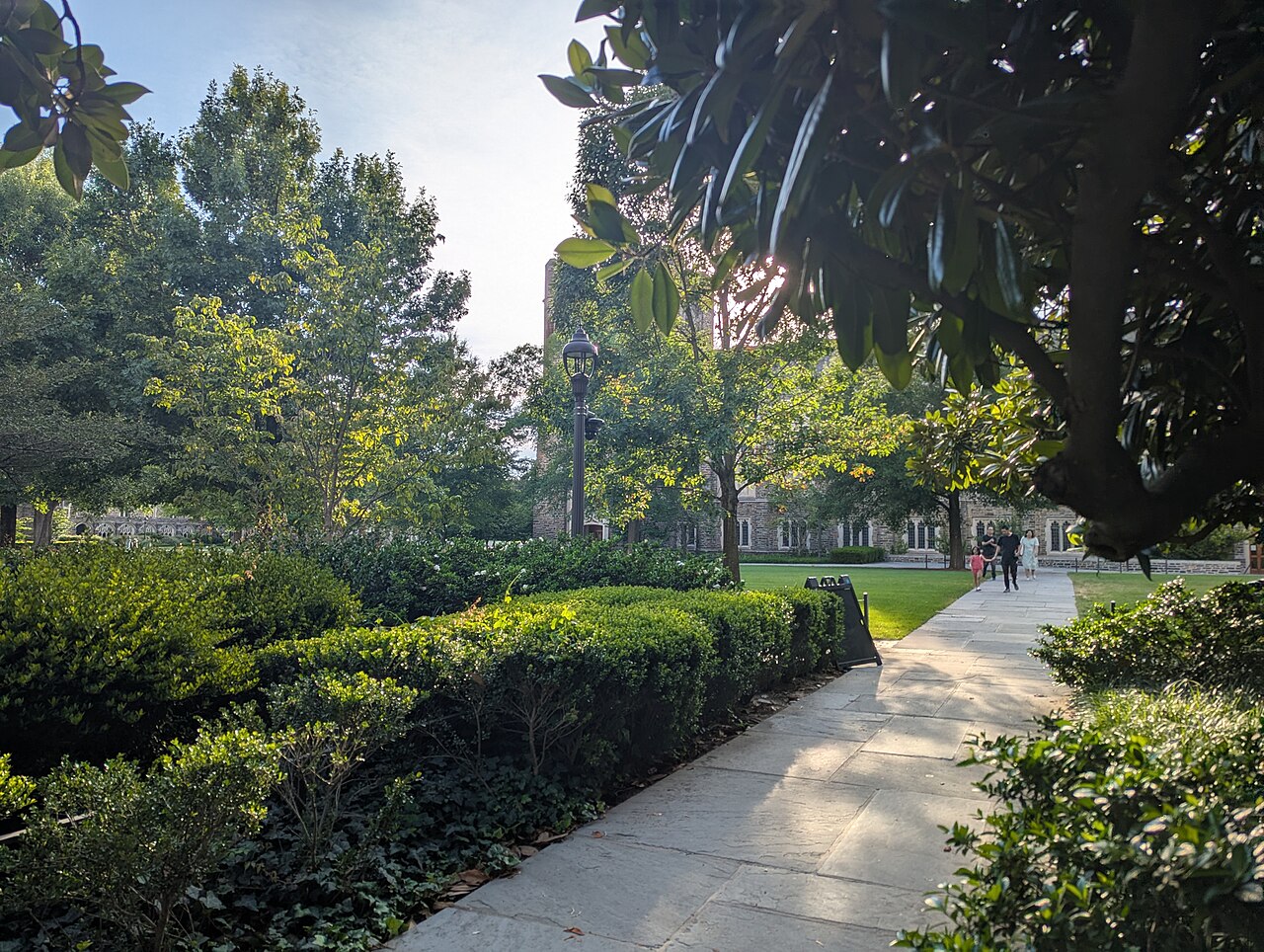 杜克大学校园实景:学习与生活空间