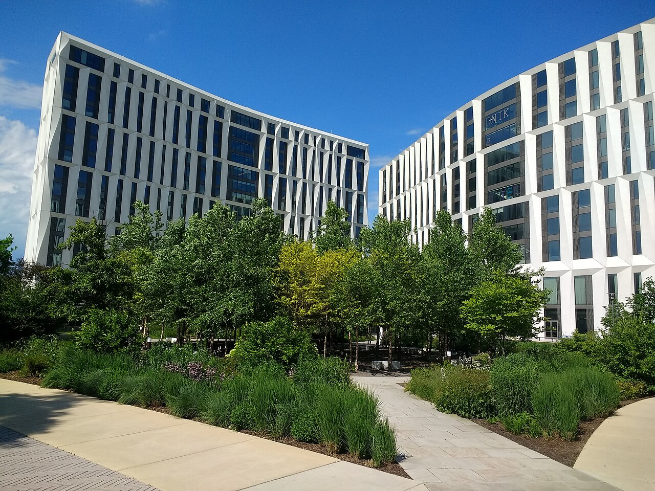 芝加哥大学校园实景:学习与生活空间